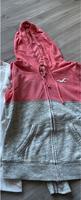 Hollister Pullover/Strickjacke Niedersachsen - Ganderkesee Vorschau