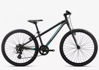 Orbea MX DIRT 24 Zoll Mountainbike MTB Fahrrad Frankfurt am Main - Kalbach Vorschau