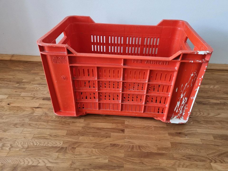 Obst & Gemüse-Kiste 53x35x31cm Transportbox Gartenbox Aufbewahrun in Frankfurt am Main