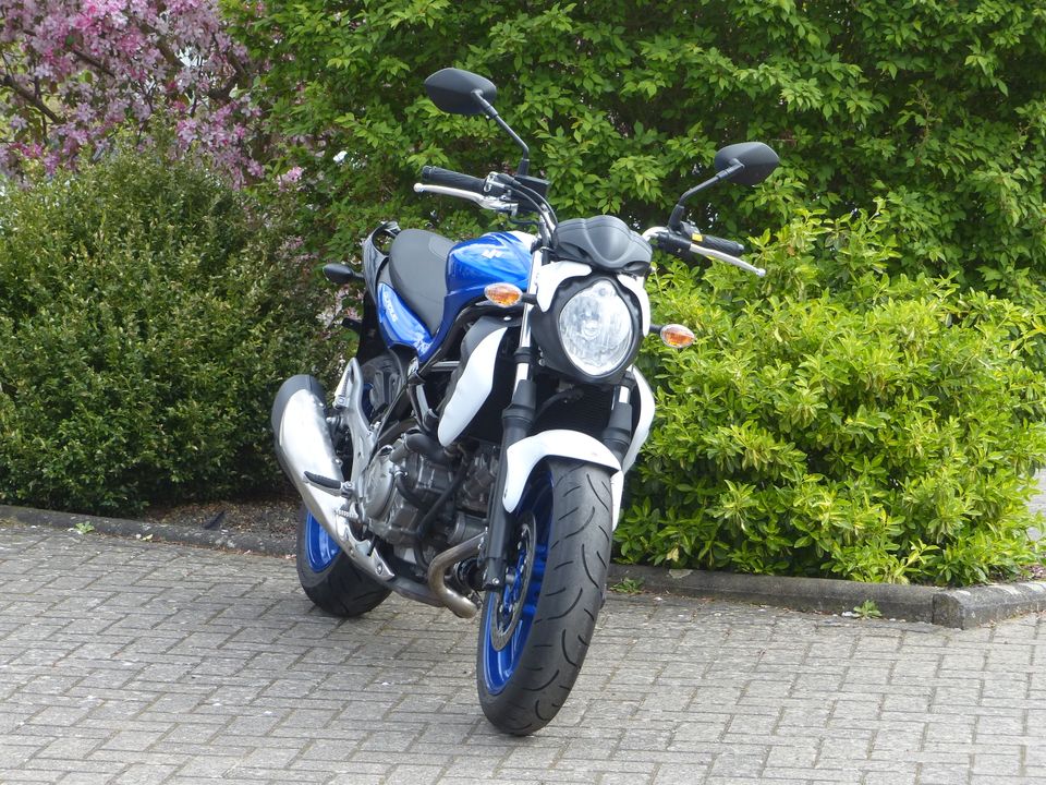 Suzuki Gladius 650 SFV 650 in Melsungen