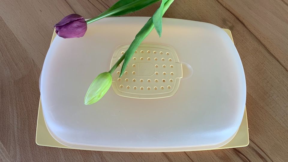 Käse Max gelb Tupperware groß Frühling Ostern Geschenk in Steinheim