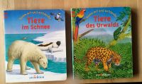 Komm und Entdecke Tiere im Schnee Tiere des Urwalds Kinderbücher Rheinland-Pfalz - Hochspeyer Vorschau