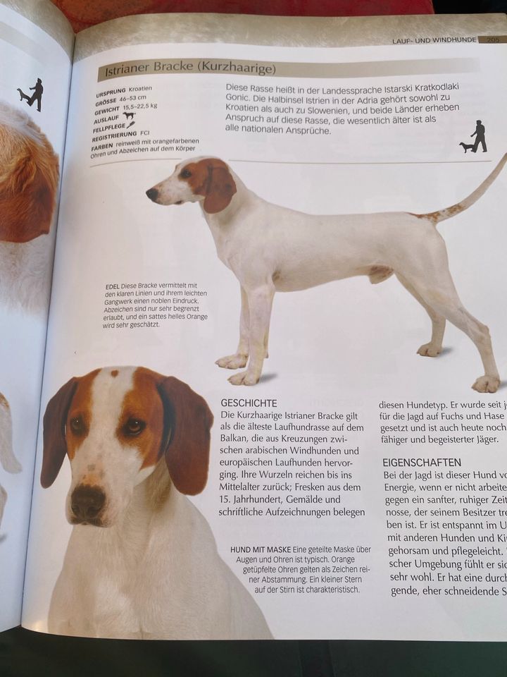 Buch Ratgeber Der Hund in Karlsruhe