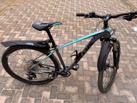 Montainbike Kellys Mystery 30 Sachsen-Anhalt - Aschersleben Vorschau