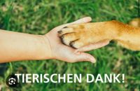 Futterspenden für Hunde und Katzen gesucht Rheinland-Pfalz - Spirkelbach Vorschau