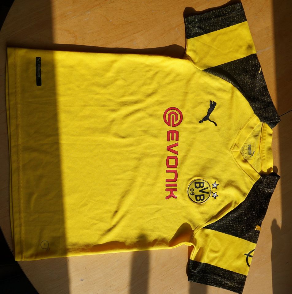 Kinder-T-Shirt BVB "Marco Reus" in Jena