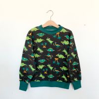 NEU Etsy Kinder Dino Dinosaurier Pullover Piraten Shirt 122 128 Leipzig - Sellerhausen-Stünz Vorschau