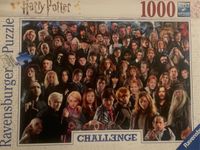 Puzzle Harry Potter/Disney/Landschaft je 8€ Sachsen-Anhalt - Magdeburg Vorschau