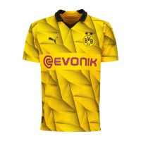 SUCHE Puma BVB Borussia Dortmund Cup-Trikot 2023/2024 Nordrhein-Westfalen - Gummersbach Vorschau
