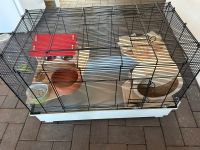 Nagerkäfig Hamsterkäfig Niedersachsen - Meinersen Vorschau