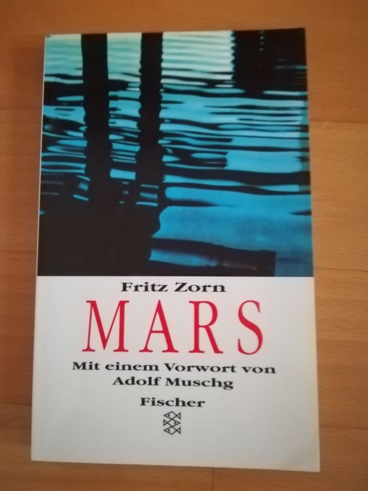 Buch "Mars" von Fritz Zorn in München