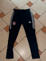 Bayern München Trainingshose Blau Baden-Württemberg - Freiburg im Breisgau Vorschau