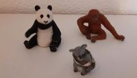 Schleich Figuren Panda Orang Utan  Koala Bär Rheinland-Pfalz - Ramstein-Miesenbach Vorschau