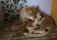 XXL Plüschlöwin mit Baby Sarabi & Simba Thüringen - Sondershausen Vorschau