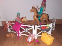 Barbie mit Pferde- Reitspaß- Wie NEU Rheinland-Pfalz - Kirchberg (Hunsrück) Vorschau