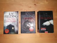 3 Bücher von Joy Fielding im Set Niedersachsen - Ebstorf Vorschau