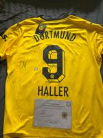 Sebastian Haller Trikot mit Echtheitszertifikat und Etikett Bayern - Wörth an der Isar Vorschau