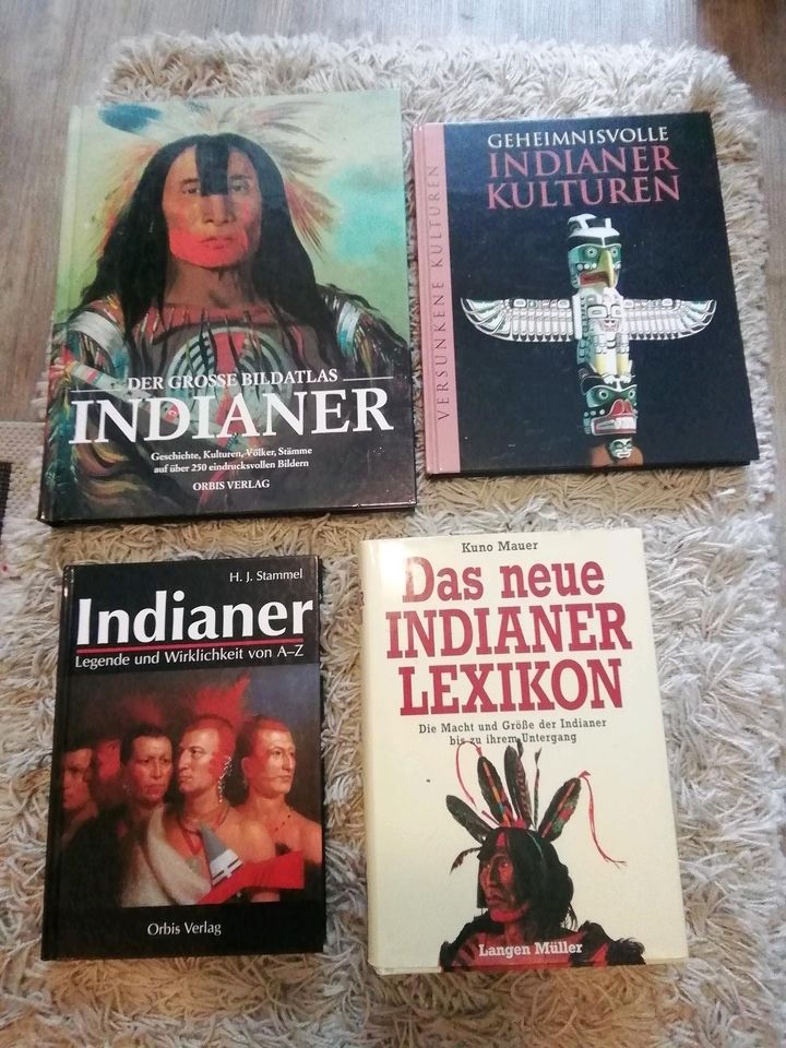 4 interressante ältere Bücher mit Thema Indianer in Kaltenkirchen