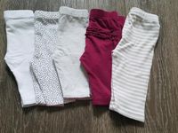 Leggings 50 Berlin - Mahlsdorf Vorschau