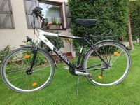 Fahrrad Herren Thüringen - Zeulenroda Vorschau