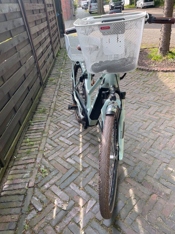 ***E-Bike Special Edition Pegasus Solero Pedelec*** in Emden