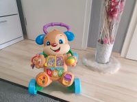 Fisher-Price Lernspaß Hündchens Lauflernwagen, Lauflernhilfe Baby Bayern - Ebersdorf Vorschau