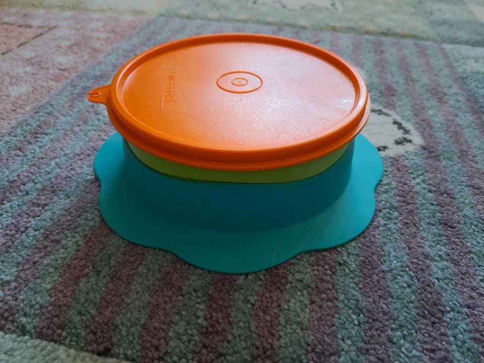 Tupperware Babyschale in Minden