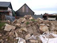 Natursteine Elmstein Kalkstein Findling Sandstein Muschekalkstein Niedersachsen - Königslutter am Elm Vorschau