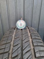 #492# 2 Sommerreifen Debica 195/65 R15 95T Extra Load 5,5mm 2021 Sachsen-Anhalt - Halle Vorschau