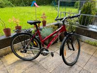 Damen Cross Bike City Fahrrad 28 Zoll Stuttgart - Vaihingen Vorschau