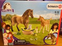 Schleich 42432 Pferd, Fohlen, Hund, Horse Club, Tierpflege Bielefeld - Brake Vorschau