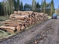 Brennholz 3m und 4m Thüringen - Neustadt an der Orla Vorschau