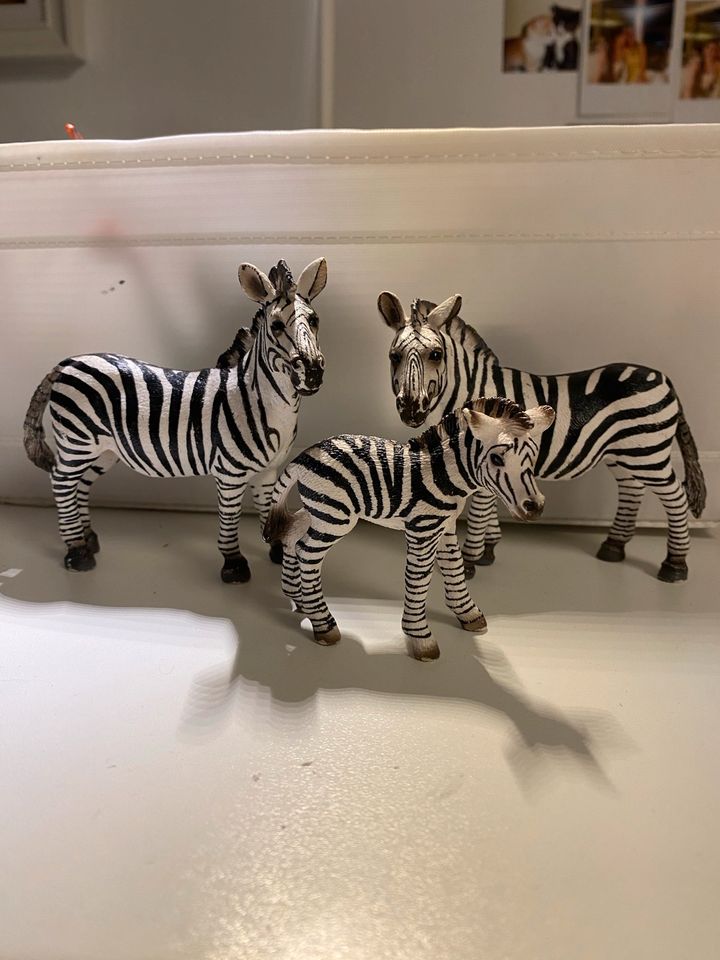 Schleich Zebra Familie in Fürth