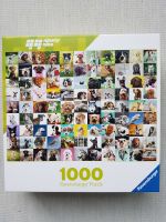 Ravensburger Puzzle 99 süße Hunde, 1000 Teile, neuwertig Nordrhein-Westfalen - Rheine Vorschau