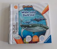 Tiptoi Buch pocket wissen "Wale und Delfine" Bayern - Krumbach Schwaben Vorschau