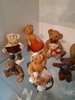 Bären Sammlung Beau Bears verschiedene Bayern - Marktredwitz Vorschau