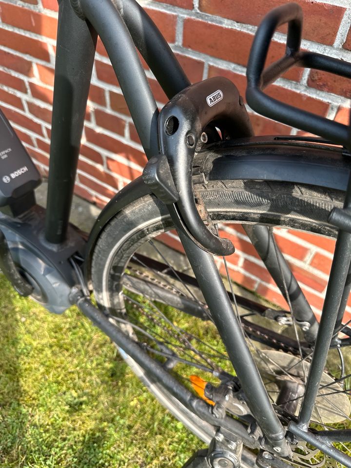 E-Bike Kieler Manufaktur Perf. CX schwarz 55 in Schülp