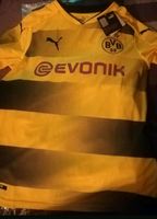 BVB Borussia Dortmund Trikot Langarm Version 164 176 selten Nordrhein-Westfalen - Oberhausen Vorschau