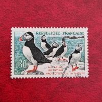 Frankreich Papageientaucher Vogel #0635 Niedersachsen - Aurich Vorschau