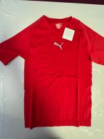 PUMA T-SHIRT NEU  MIT ETIKETTE !  Gr. L /52/54  ROT  NEU OVP. Hamburg-Nord - Hamburg Barmbek Vorschau