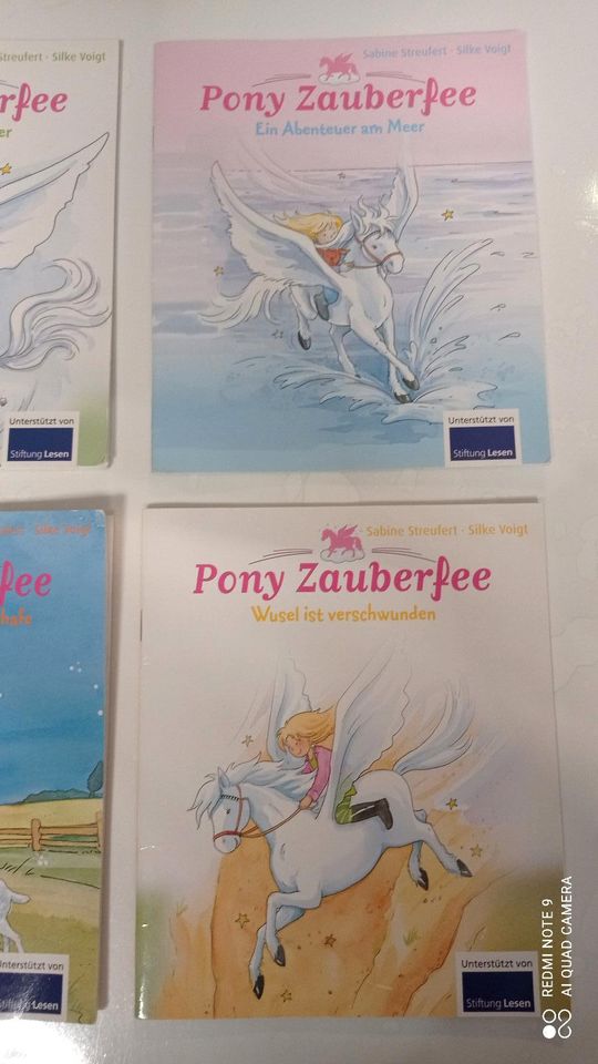 Buch Bücher Taschenbuch Taschenbücher Pony Zauberfee in Schmelz