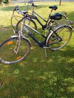 Winora Fahrräder 28 Zoll Hessen - Flieden Vorschau