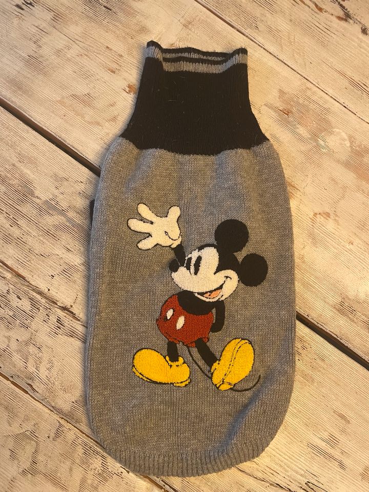 Hundepullover von H&M Disney in Bielefeld