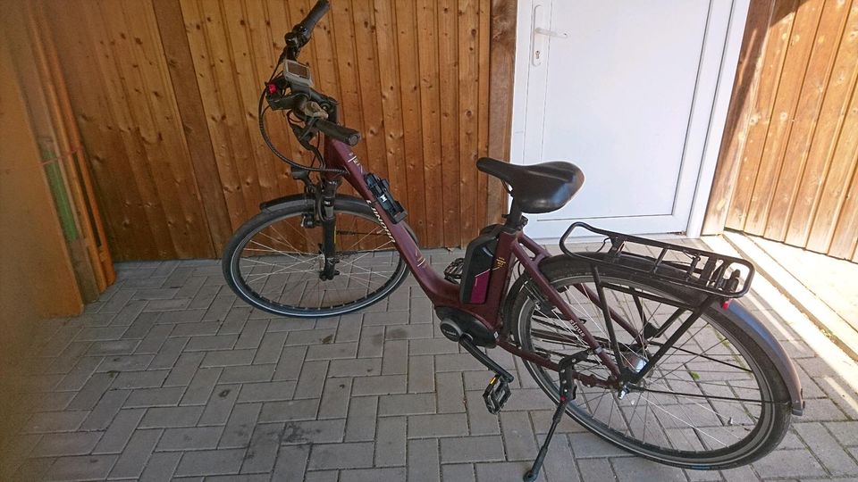E Bike Winora Tria N7 Eco in Elmshorn