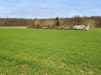 Land- und forstwirtschaftliche Flächen in Swisttal Nordrhein-Westfalen - Swisttal Vorschau