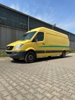 Mercedes Sprinter 318 V6 CDI, ideale Basis für Camperausbau Sachsen-Anhalt - Burg Vorschau