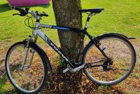 Focus Long Lake 28 Zoll Fahrrad, Crossrad Bielefeld - Senne Vorschau