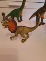 Verschiedene Dinos Hessen - Staufenberg Vorschau