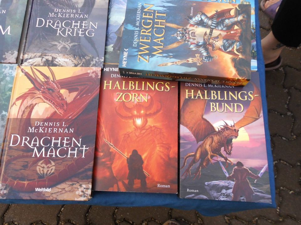 Fantasy Bücherset 19 Stück Dennis L. Mckiernan gebr. kostenl. Ver in Regis-Breitingen