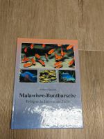 Malawisee Buntbarsche -erfolgreiche Haltung & Zucht v. A Spreinat Baden-Württemberg - Plochingen Vorschau